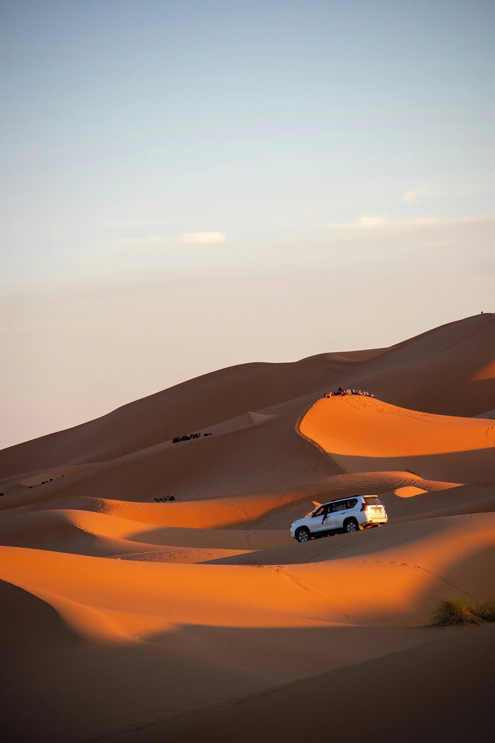 The Sahara Desert